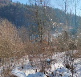 Teren 2255 mp Prahova/Centru