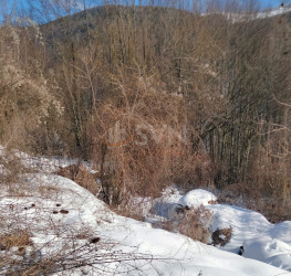 Teren 2255 mp Prahova/Centru