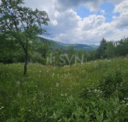 Teren 2300 mp Prahova/Centru