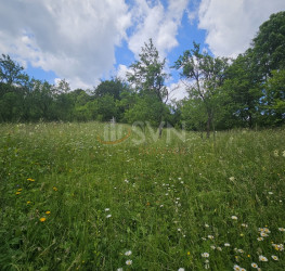 Teren 2300 mp Prahova/Centru