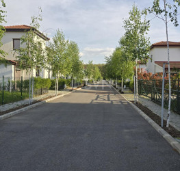 Teren 24107 mp Ilfov/Corbeanca