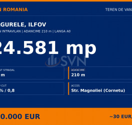 Teren 24581 mp Ilfov/Centru
