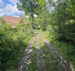 Teren 2500 mp Prahova/Centru