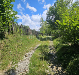 Teren 2500 mp Prahova/Centru