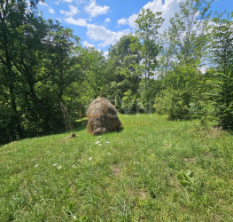 Teren 2500 mp Prahova/Centru