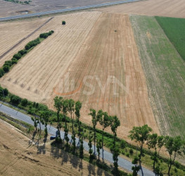 Teren 26000 mp Ilfov/Stefanesti