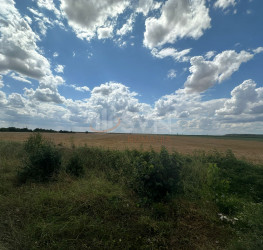 Teren 26000 mp Ilfov/Stefanesti