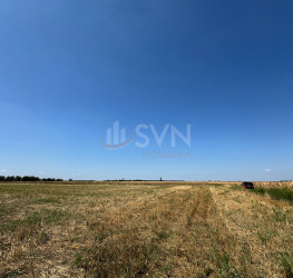 Teren , 26000 mp Ilfov/Otopeni