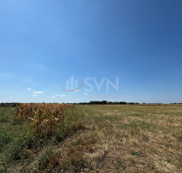 Teren , 26000 mp Ilfov/Otopeni