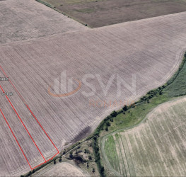 Teren 29154 mp Ilfov/Tunari