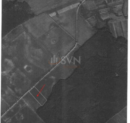 Teren 30000 mp Dambovita/Centru