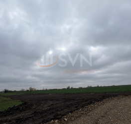 Teren 30120 mp Ilfov/Tunari