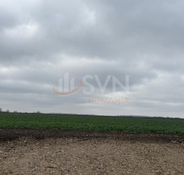 Teren 30120 mp Ilfov/Tunari