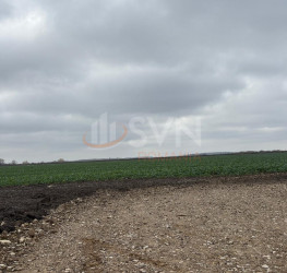 Teren 30120 mp Ilfov/Tunari