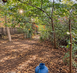 Teren 304 mp Bucuresti/Bucurestii Noi