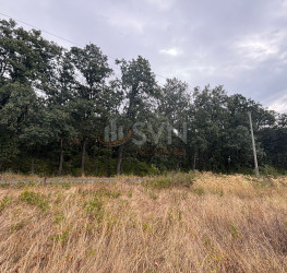 Teren 3500 mp Ilfov/Corbeanca