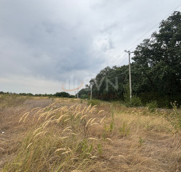 Teren 3500 mp Ilfov/Corbeanca