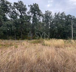 Teren 3500 mp Ilfov/Corbeanca