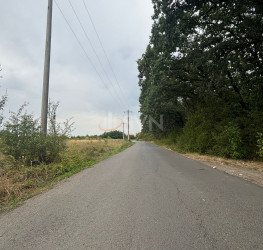 Teren 3500 mp Ilfov/Corbeanca