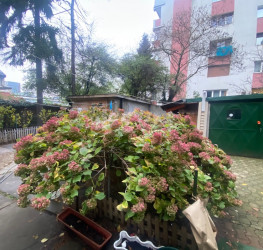 Teren 363 mp Bucuresti/Domenii