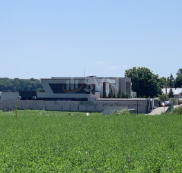 Teren 3800 mp Ilfov/Snagov