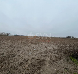 Teren 4200 mp Dambovita/Centru