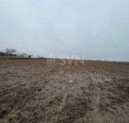 Teren 4200 mp Dambovita/Centru