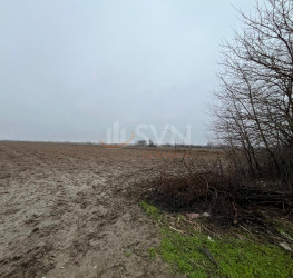 Teren 4200 mp Dambovita/Centru