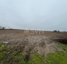 Teren 4200 mp Dambovita/Centru