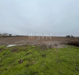 Teren 4200 mp Dambovita/Centru