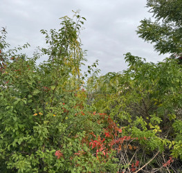 Teren 432 mp Bucuresti/Pipera