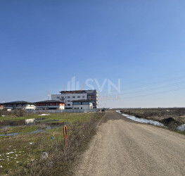 Teren , 4750 mp Bucuresti/Berceni