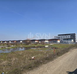 Teren , 4750 mp Bucuresti/Berceni