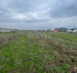 Teren 500 mp Ilfov/Clinceni