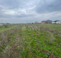 Teren 500 mp Ilfov/Clinceni