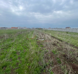 Teren 500 mp Ilfov/Clinceni