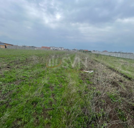 Teren 500 mp Ilfov/Clinceni