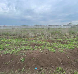 Teren 500 mp Ilfov/Clinceni