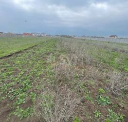 Teren 500 mp Ilfov/Clinceni