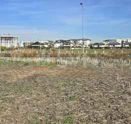 Teren 5000 mp Bucuresti/Berceni