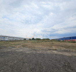 Teren 5017 mp Ilfov/Otopeni