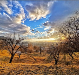 Teren 5258 mp Brasov/Centru