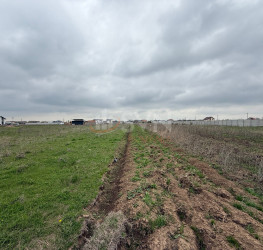 Teren 579 mp Ilfov/Clinceni