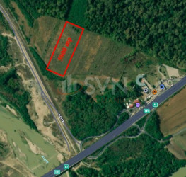 Teren 5900 mp Giurgiu/Centru