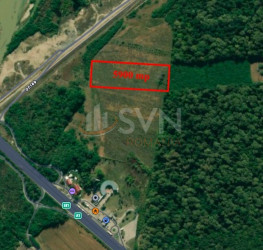 Teren 5900 mp Giurgiu/Centru