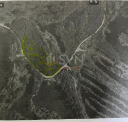 Teren , 6000 mp Dambovita/Centru