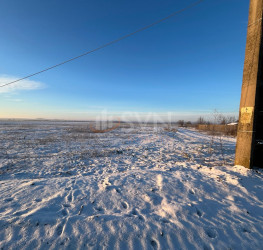 Teren , 6000 mp Dambovita/Centru