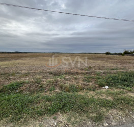 Teren , 6000 mp Dambovita/Centru