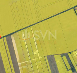 Teren 6303 mp Ilfov/Tunari