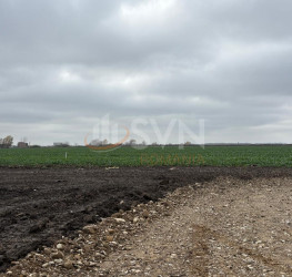 Teren 6303 mp Ilfov/Tunari